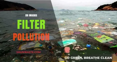 Masks: Pollution Protection or Just a Myth?