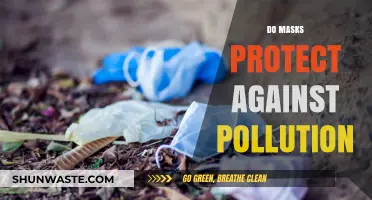 Anti-Pollution Masks: Do They Really Work?