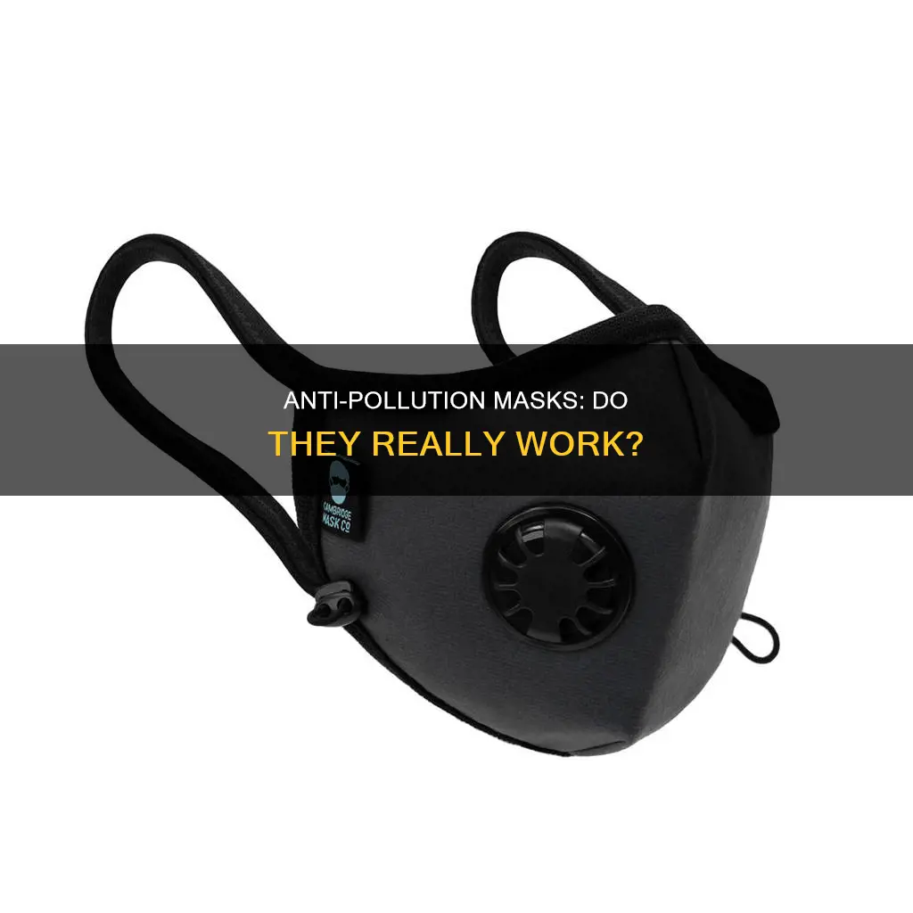 do masks protect against pollution