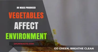 Mass-Produced Vegetables: Environmental Impact and Sustainable Alternatives