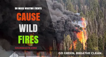 Mass Wasting and Wildfires: Unraveling the Connection and Risks