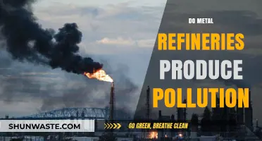 Metal Refineries: A Trade-off Between Progress and Pollution