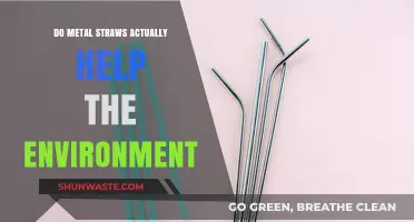 Metal Straws: Eco-Friendly Solution or Overhyped Trend?