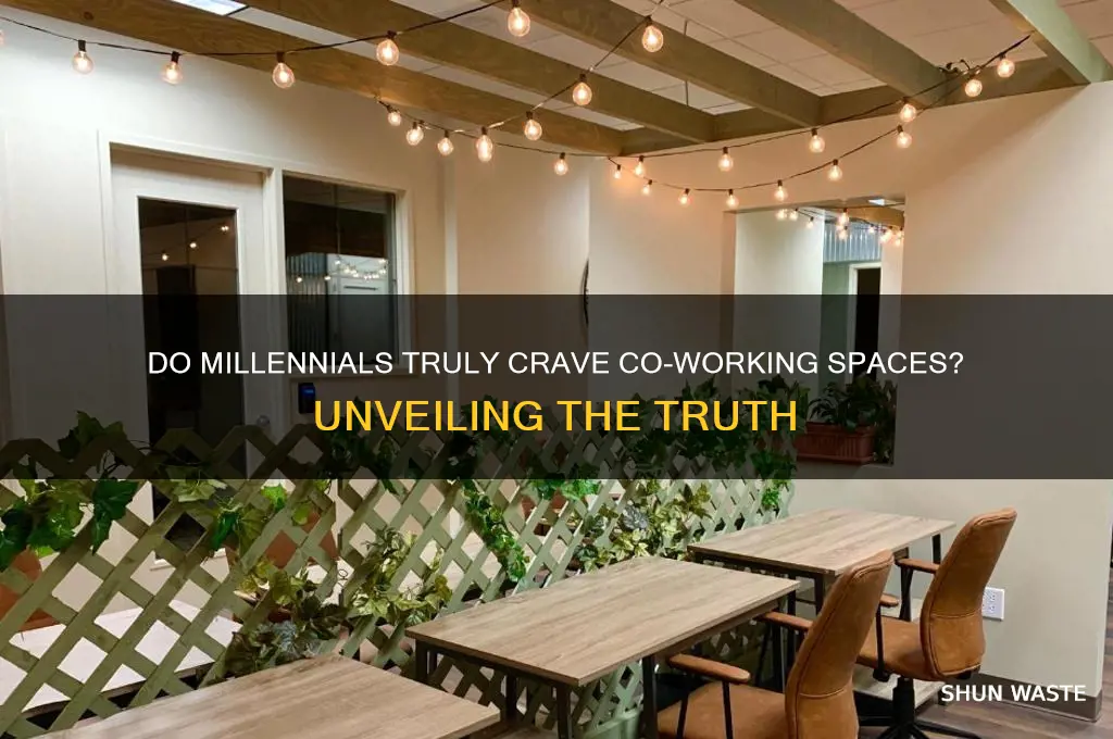 do millenials really want co-working environment