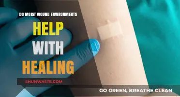 Moist Wound Healing: Unlocking Faster Recovery Through Optimal Environments