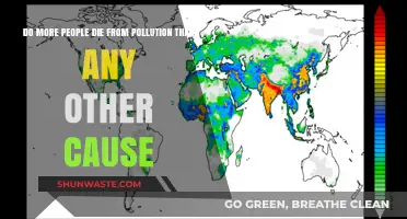 The Hidden Killer: How Pollution Outpaces Other Causes of Death