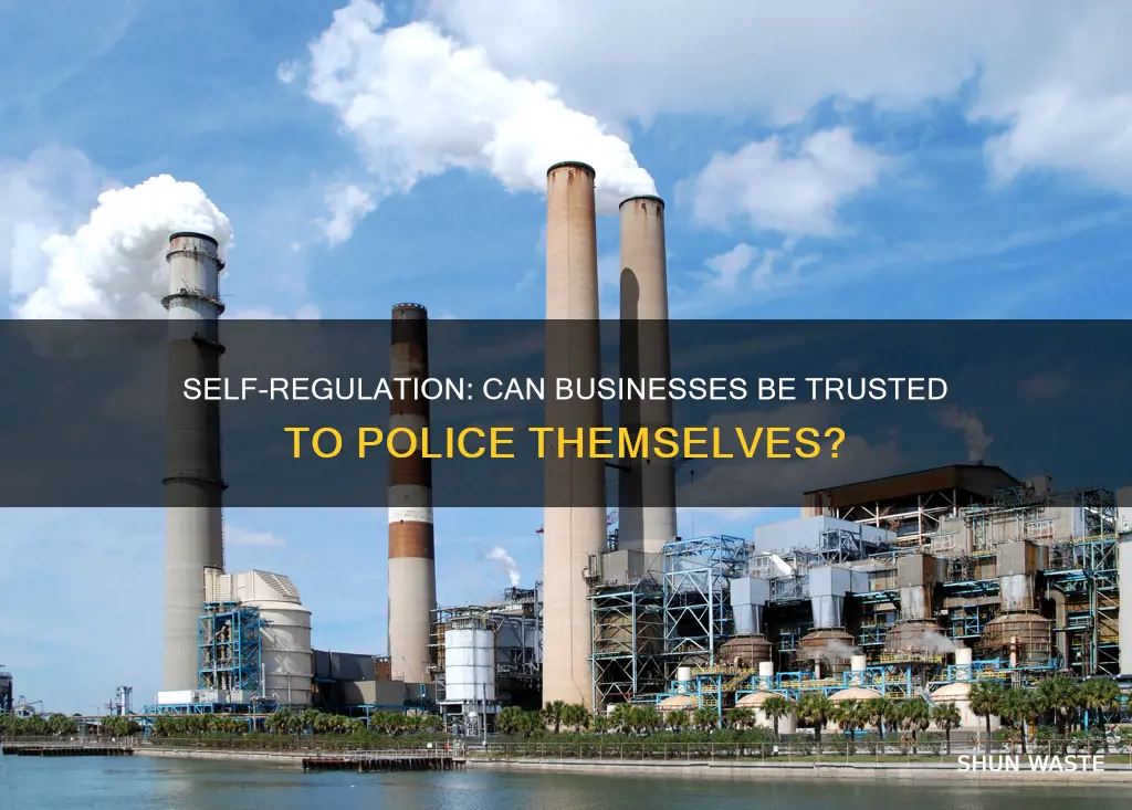 do most businesses regulate pollution on their own
