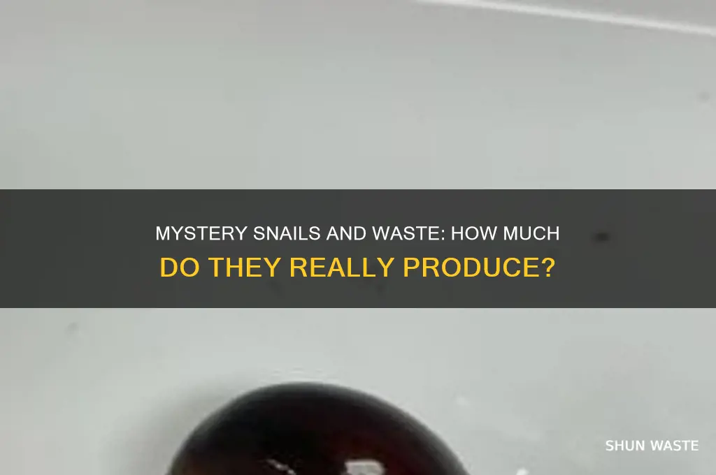 do mystery snails produce a lot of waste