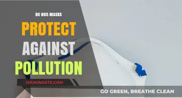 N95 Masks: Effective Shields Against Pollution?