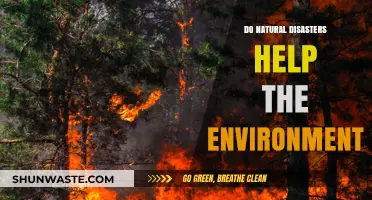 Natural Disasters: Environmental Destructors or Unexpected Eco-Restorers?