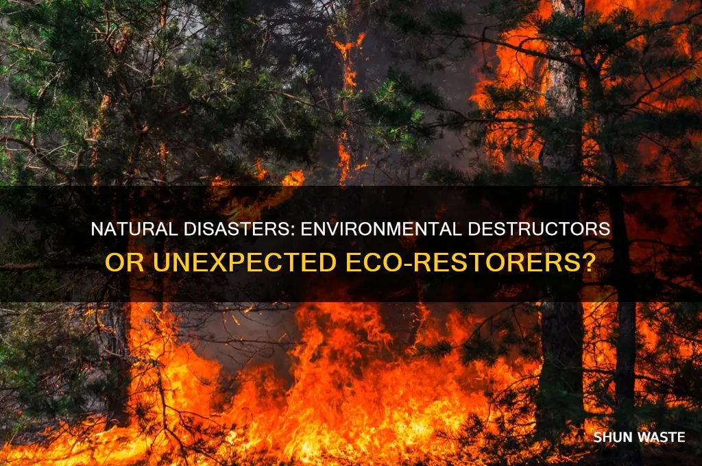 do natural disasters help the environment