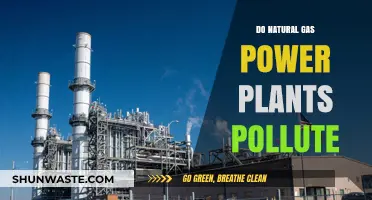 Natural Gas Power Plants: Polluting Our Planet?