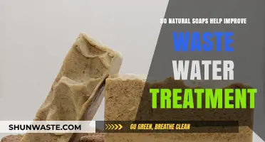 Natural Soaps and Wastewater Treatment: Enhancing Environmental Sustainability
