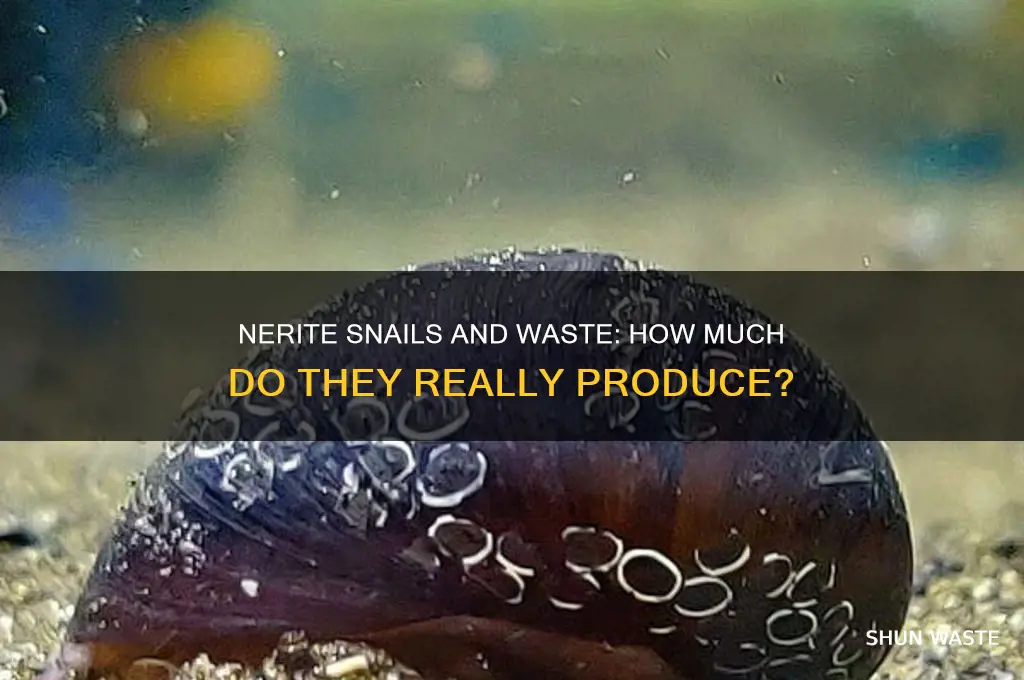 do nerite snails produce a lot of waste