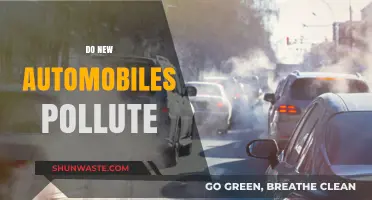 New Cars: Polluters or Green Machines?