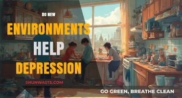 Can New Environments Offer Relief for Depression? Exploring the Impact