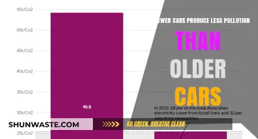 Cars and Pollution: Newer vs Older Models