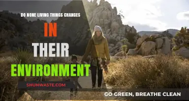 Do Non-Living Things Adapt to Environmental Changes?