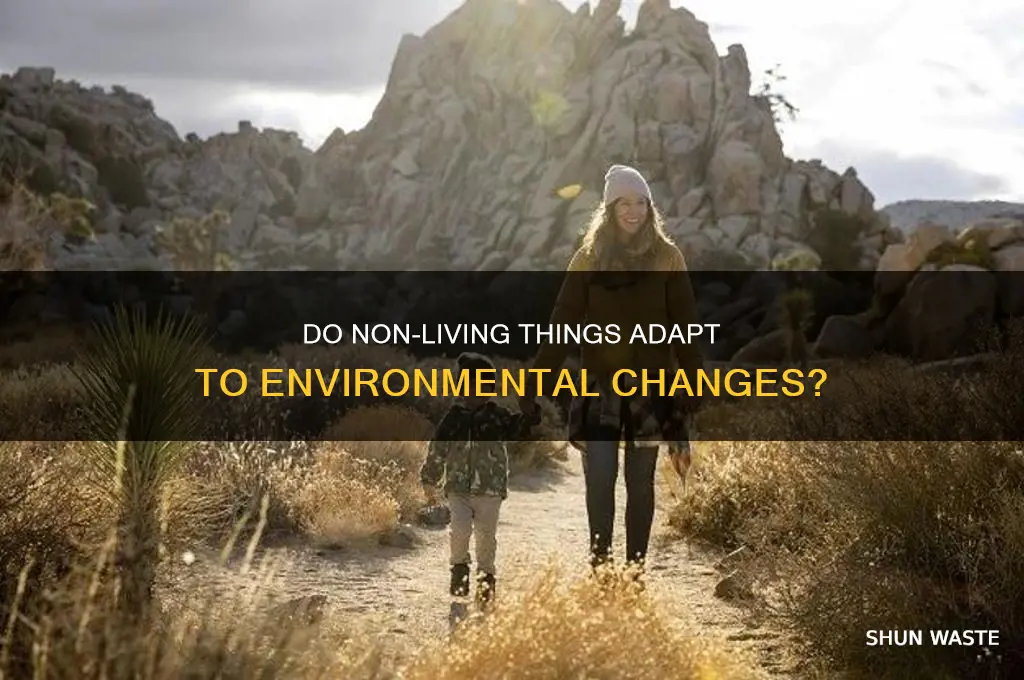 do none living things changes in their environment