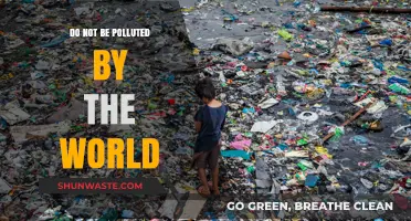 Stay Pure: Avoid Worldly Pollution