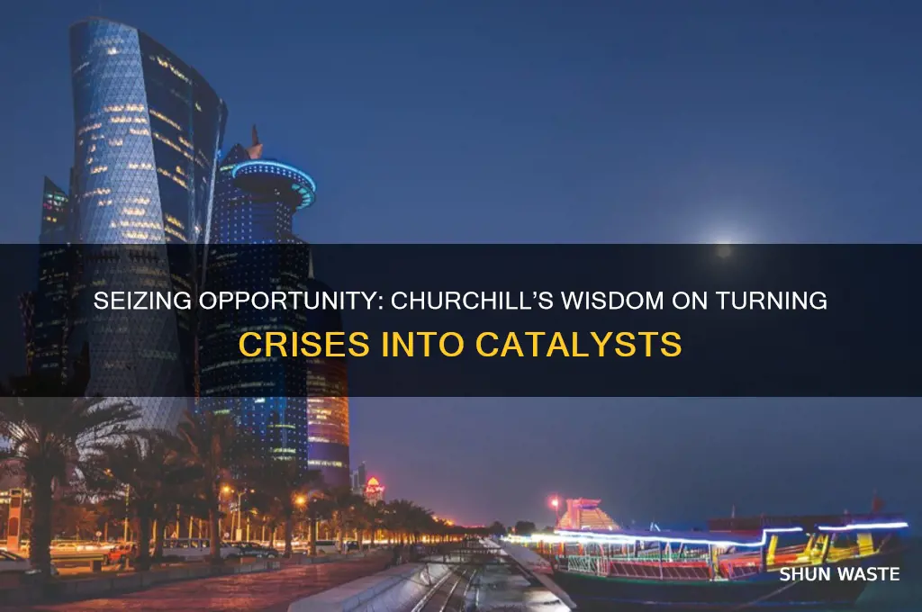 do not let a good crisis go to waste churchill