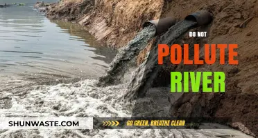 Keep Our Rivers Clean and Pristine: Stop Polluting!