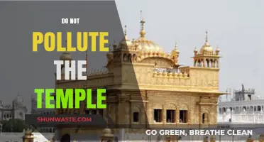 Keep the Temple Clean: Avoid Pollution