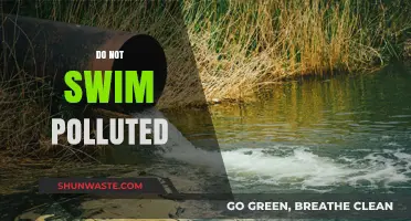Swimming in Polluted Water: A Dangerous Dip