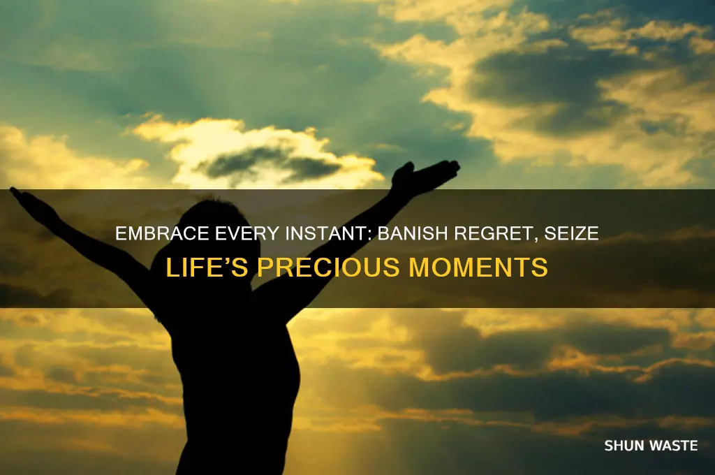 do not waste one moment in regret