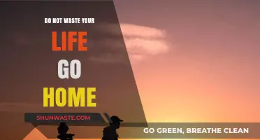Stop Wasting Time: Embrace Home, Reclaim Your Life's Purpose