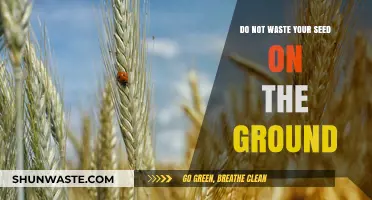Sow Wisely: Avoid Wasting Your Seed on Unfertile Ground
