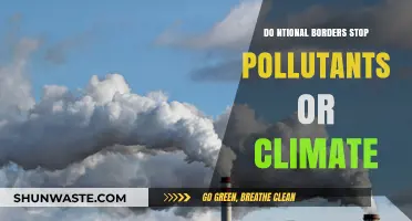Pollution and Climate Change: Global Issues, Global Solutions
