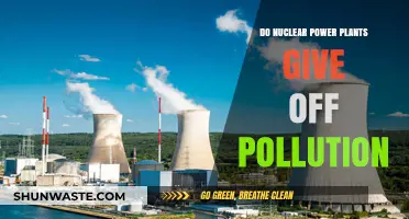 Nuclear Power Plants: Pollution or Clean Energy?