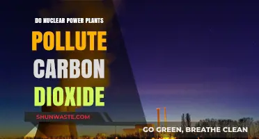 Nuclear Power Plants: Carbon Dioxide Pollution Mystery