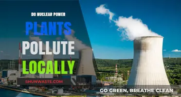 The Clean Energy Debate: Nuclear Power Plant Pollution