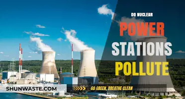 Nuclear Power: Pollution and the Planet
