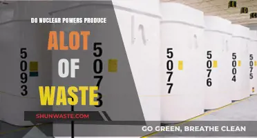 Nuclear Power's Waste Dilemma: How Much Is Too Much?