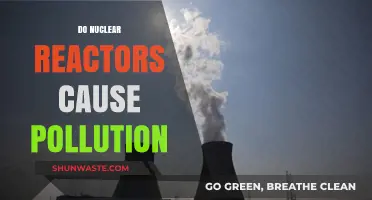 Nuclear Power: Clean Energy or Environmental Hazard?