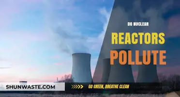 Nuclear Power: Pollution and the Promise of Progress