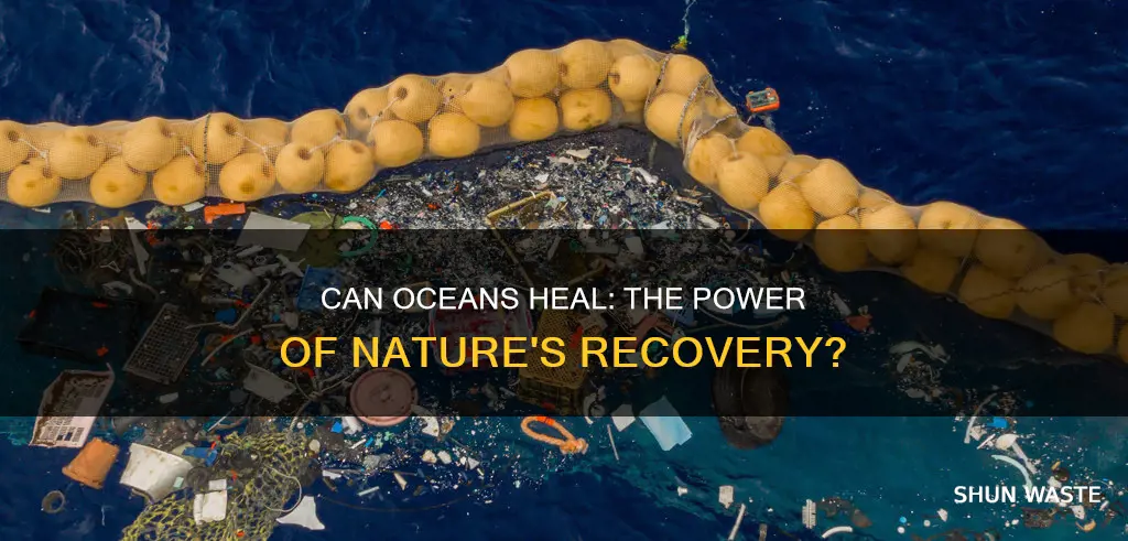 do oceans recover from water pollution