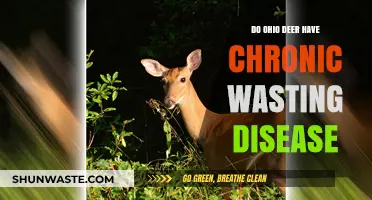 Ohio Deer and Chronic Wasting Disease: What Hunters Need to Know