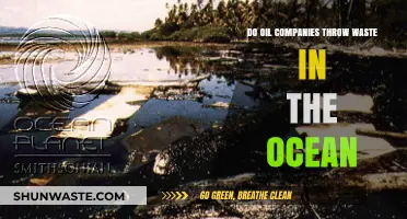 Oil Companies and Ocean Waste: Uncovering the Truth Behind the Pollution