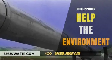 Oil Pipelines: Environmental Lifeline or Ecological Threat?