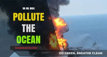 Oil Rigs: Ocean Polluters or Sustainable Energy Sources?
