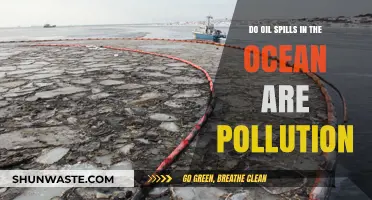 Ocean Oil Spills: Devastating Pollution or Natural Remediation?