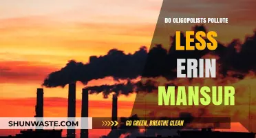 Oligopolies and Pollution: Mansur's Insight
