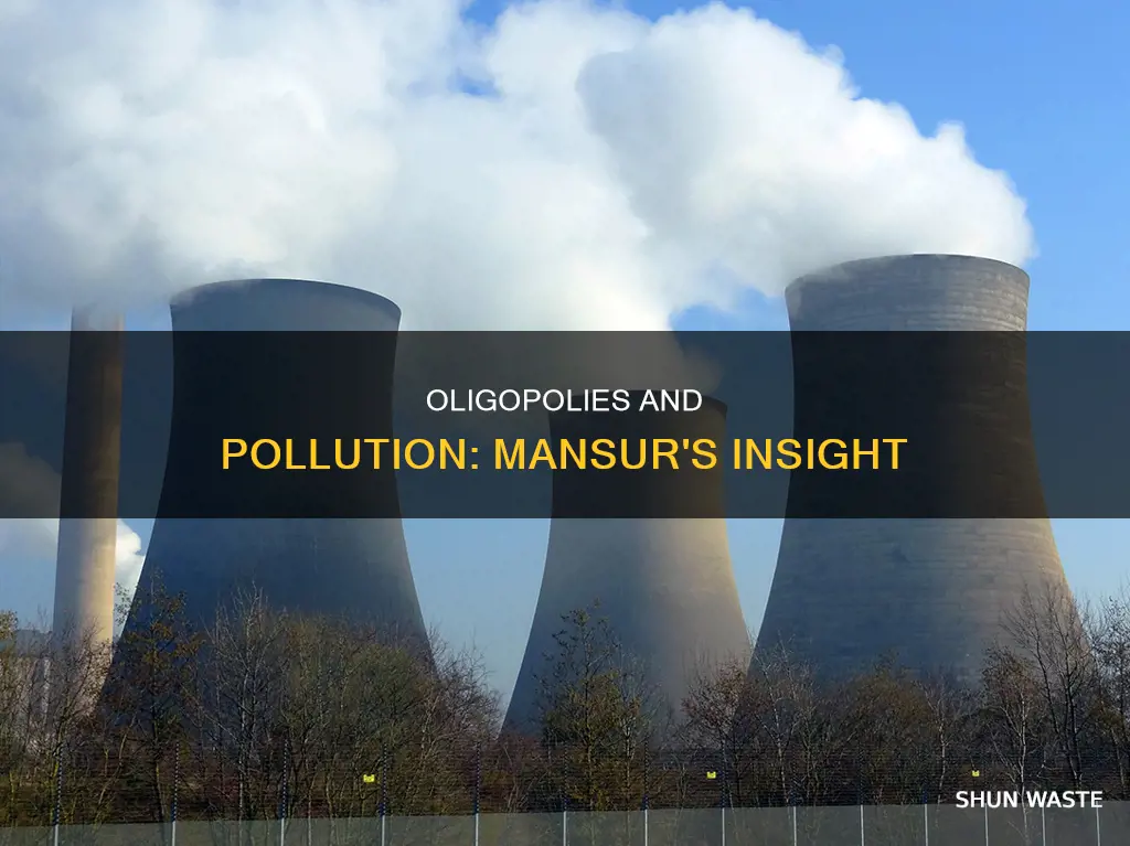 do oligopolists pollute less erin mansur