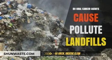 Oral Cancer Agents: Environmental Impact on Landfills