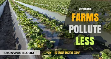 Organic Farms: Less Pollution, More Benefits