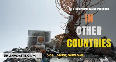 Global Waste Export: How Other Countries Handle Their Trash